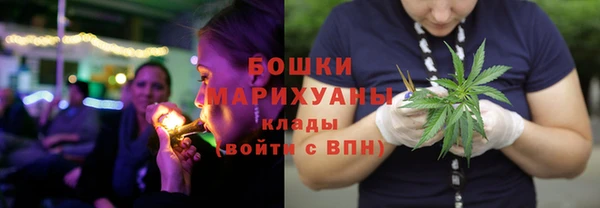 PSILOCYBIN Богородск